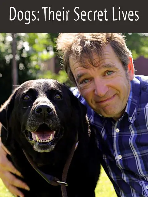 狗狗的秘密生活第一季 海报