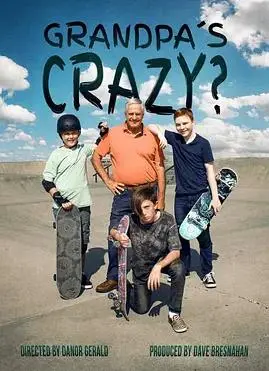 《爷爷的人生滑板》：银发族的热血滑板梦与家庭羁绊