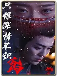 只恨深情不识鸢 海报